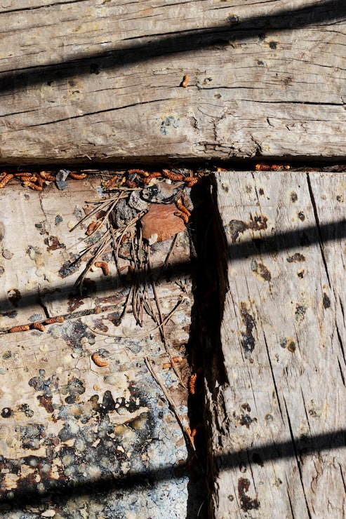 Чем заделать щели в деревянном полу в старом доме