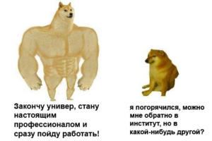 Как получить второе высшее образование дистанционно и бесплатно