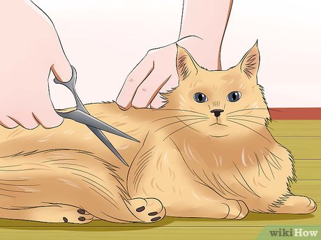 Step 2 При необходимости производите стрижку шерсти.