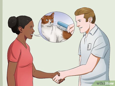 Step 4 Посещайте профессионального грумера.